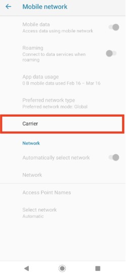 Step 3: Access Mobile Network and Carrier Settings