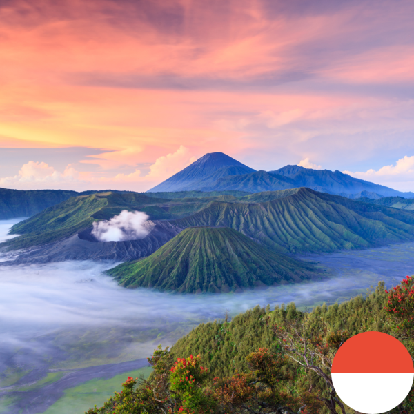 Untitled design (8) Indonesia eSIM