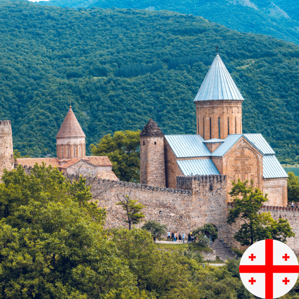 25 Georgia eSIM